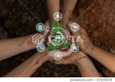 A child is holding a small tree. The hands of 67936978