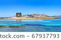 La Pelosa, Stintino, Italy 67937793