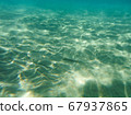 Greece Underwater Life 67937865