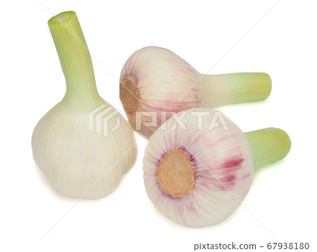 Fresh young garlic isolated on white background Fresh young garlic isolated on white background 67938180