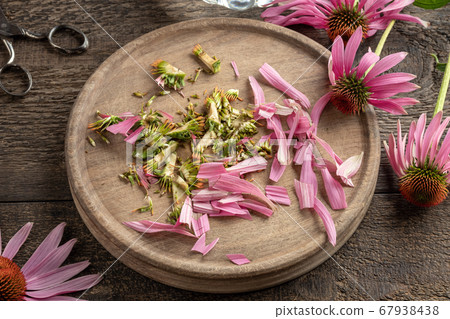 Preparation of herbal tincture from echinacea Preparation of herbal tincture from echinacea 67938438