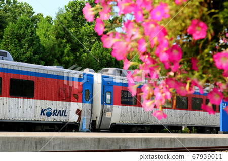 Railway Park Railway Park 67939011