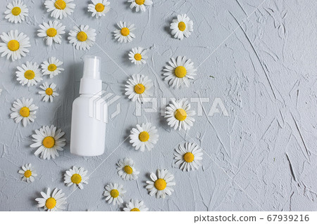 Top view and close-up of white plastic spray bottle mock-up and chamomiles flowers on a gray background. Natural organic spa cosmetics and liquid antimicrobial spray concept. Flatlay styling. 67939216