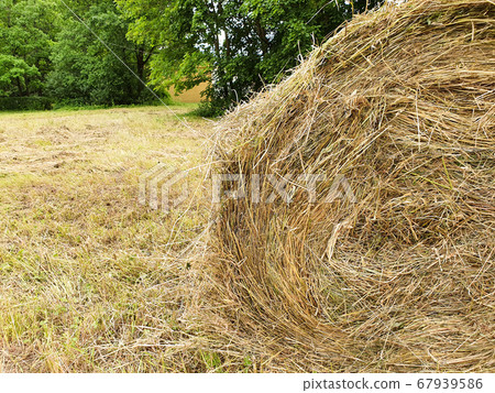 Haystack on the field. Lifestyle, close-up. 67939586