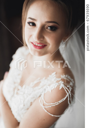 Gorgeous bride in robe posing and preparing for the wedding ceremony face in a room 67939890