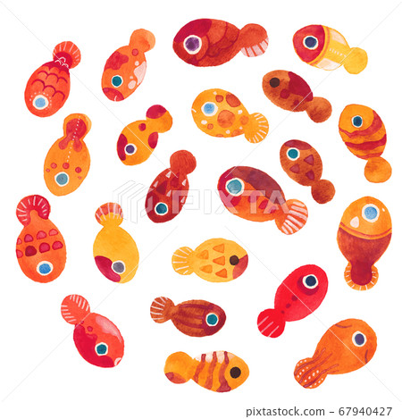 Funny kingu 67940427