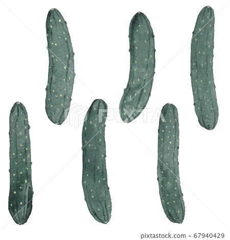 Cucumbers Cucumbers 67940429