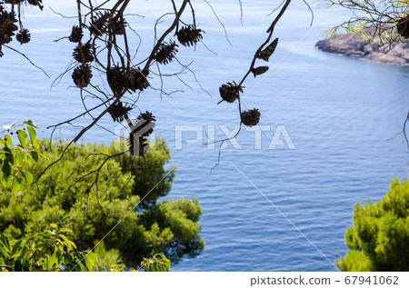 Adriatic sea view Adriatic sea view 67941062