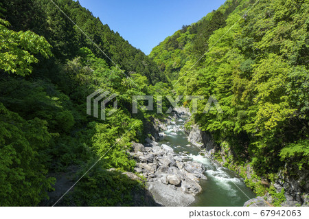 Fresh green Hatonosu Valley, a suspension bridge over the Tama River, scenery downstream from Hatonosu Kobashi 67942063