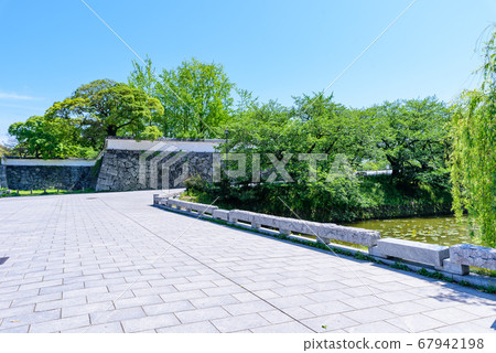 福岡城Kamiyohashi Omoto Monster 福岡城Kamiyohashi Omoto Monster 67942198
