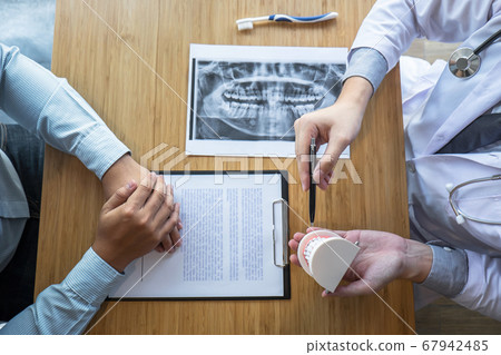 Professional Dentist showing  jaw and teeth the 67942485