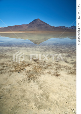 Panoramic view at White Lagoon - South of Bolivia. 67942839