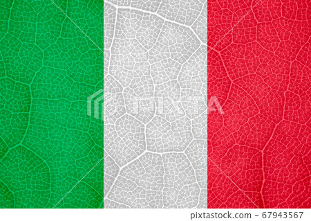 flag of Italy on the structure of a tree leaf macro flag of Italy on the structure of a tree leaf macro 67943567