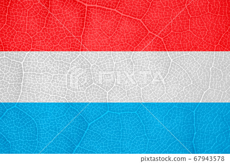 the flag of Luxembourg on the structure of a tree leaf macro the flag of Luxembourg on the structure of a tree leaf macro 67943578