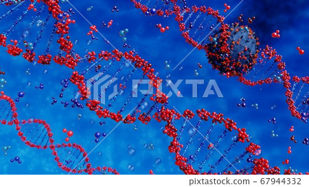 virus destroys human dna chain. Genome structure. 67944332