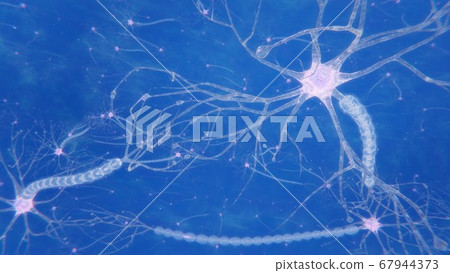 3d render brain neurons with synapses and axons 67944373