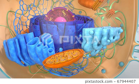 3d render of body cells. 3d illustration cell modell. 67944407