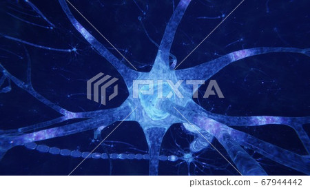 3d render brain neurons with synapses and axons - Stock Illustration ...