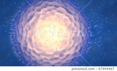 3d render ovulation women sperm and egg 3d render ovulation women sperm and egg 67944467