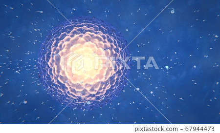 3d render ovulation women sperm and egg 3d render ovulation women sperm and egg 67944473
