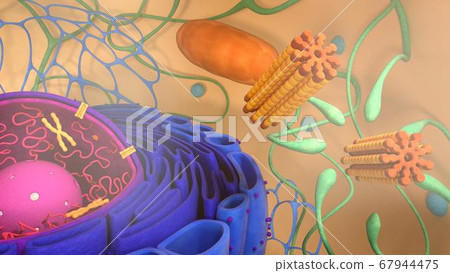 3d render of body cells. 3d illustration cell modell. 3d render of body cells. 3d illustration cell modell. 67944475