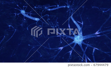 3d render brain neurons with synapses and axons 3d render brain neurons with synapses and axons 67944479