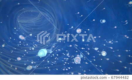3d render of sperm that aspire to the ovary to fertilize it 3d render of sperm that aspire to the ovary to fertilize it 67944482