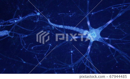 3d render brain neurons with synapses and axons 3d render brain neurons with synapses and axons 67944485