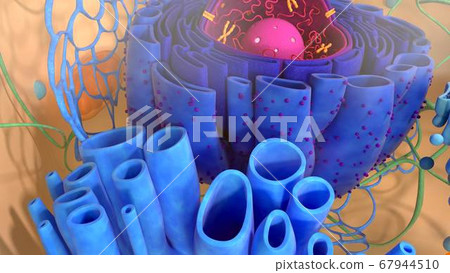 3d render of body cells. 3d illustration cell modell. 67944510