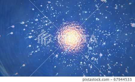 3d render of sperm that aspire to the ovary to fertilize it 67944533