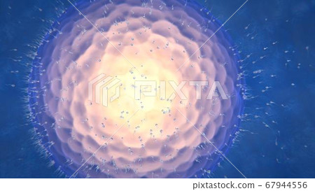 3d render of sperm that aspire to the ovary to fertilize it 3d render of sperm that aspire to the ovary to fertilize it 67944556