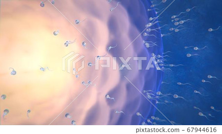 3d render of sperm that aspire to the ovary to fertilize it 3d render of sperm that aspire to the ovary to fertilize it 67944616