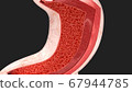 3D render of the stomach in cross section 67944785