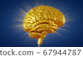 3d render golden brain with convolutions and a radiance of light 67944787