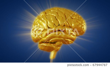 3d render golden brain with convolutions and a radiance of light 3d render golden brain with convolutions and a radiance of light 67944787