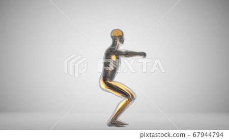 3d render of a man doing squats with backlighting muscles 3d render of a man doing squats with backlighting muscles 67944794