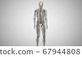 3d render of a man with an illuminated penis. man's health 67944808