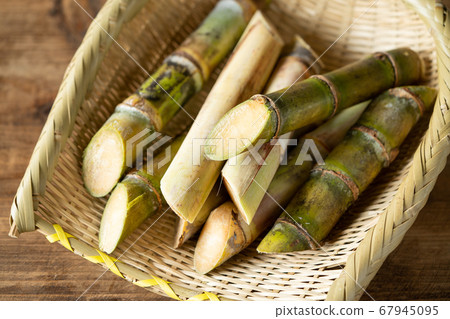 Okinawan sugar cane cut into pieces 67945095