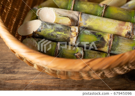 Okinawan sugar cane cut into pieces 67945096