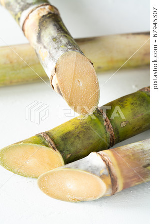 Okinawa Prefecture sugar cane 67945307