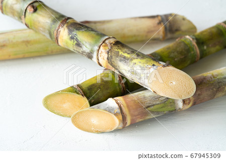 Okinawa Prefecture sugar cane 67945309