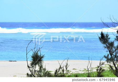 海景 67945946