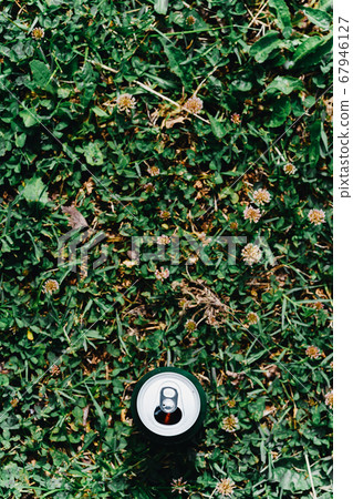 A can of beer against the grass overthe top 67946127