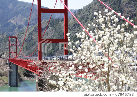 Ochi Ohashi Bridge, Kochi Prefecture Ochi Ohashi Bridge, Kochi Prefecture 67946788