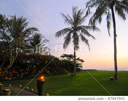 Tropical dinner time 67947941