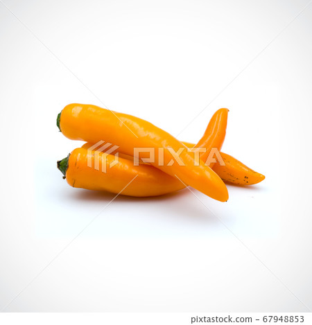 Yellow hot chili pepper isolated on the white 67948853