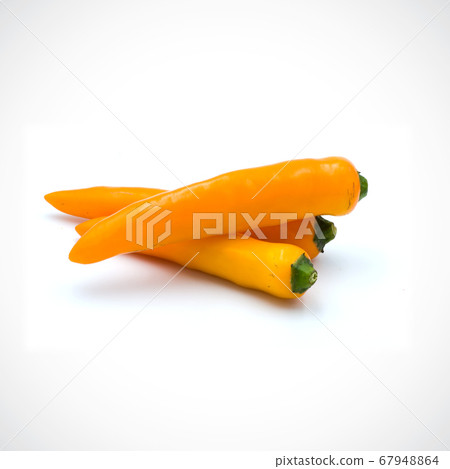 Yellow hot chili pepper isolated on the white 67948864