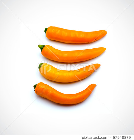 Yellow hot chili pepper isolated on the white 67948879