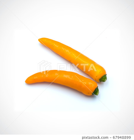 Yellow hot chili pepper isolated on the white 67948899