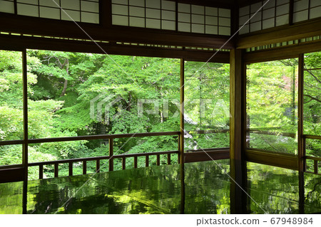 從日式房間看新鮮的楓木 67948984